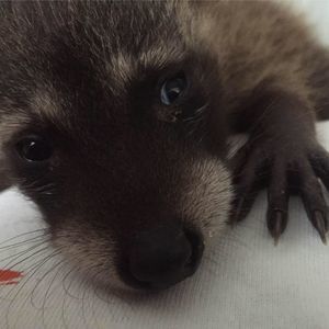 Meet your Posher, Matt